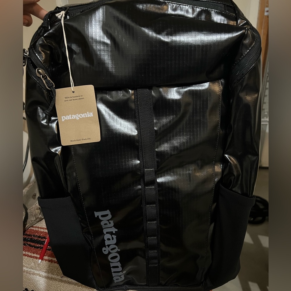 Patagonia Black Backpack 25L